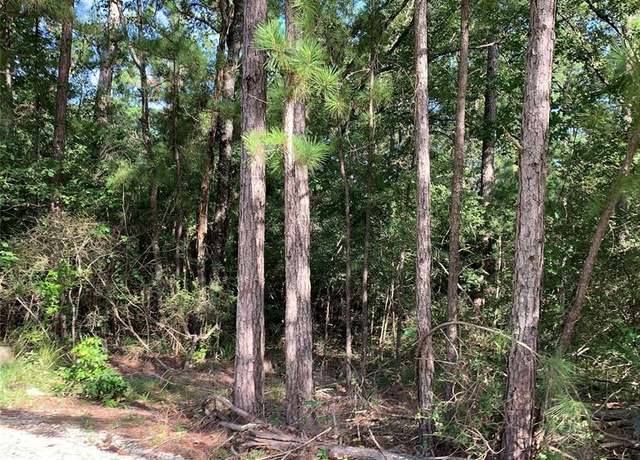 Property at TBD Hard Rock Ln Dr, Trinity, TX 75862