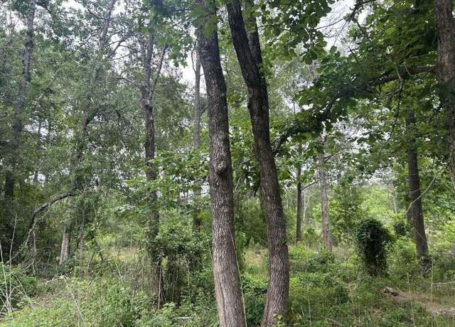 Property at 195 Greathouse St, Vidor, TX 77662