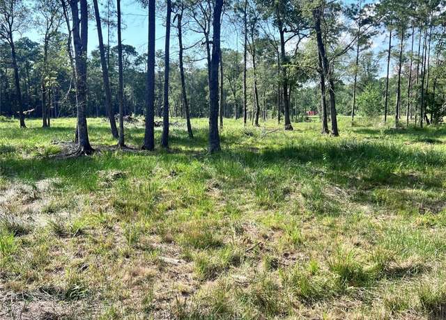 Property at 257 Rhonda Rosa Rd, Wallisville, TX 77597