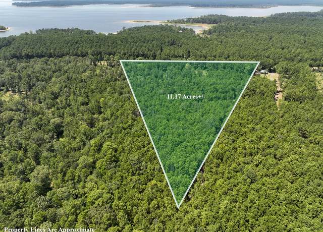 Property at TBD Fm 3173, Broaddus, TX 75929