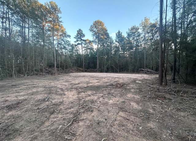 Property at 0 Pecan Rd, Plantersville, TX 77363