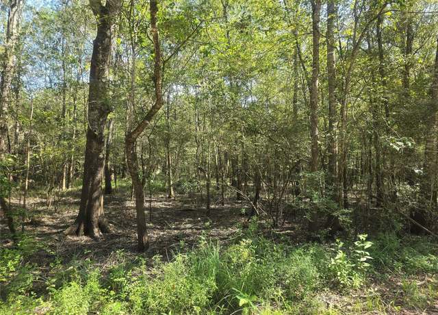 Property at TBD Crystal Dr, Dayton, TX 77535