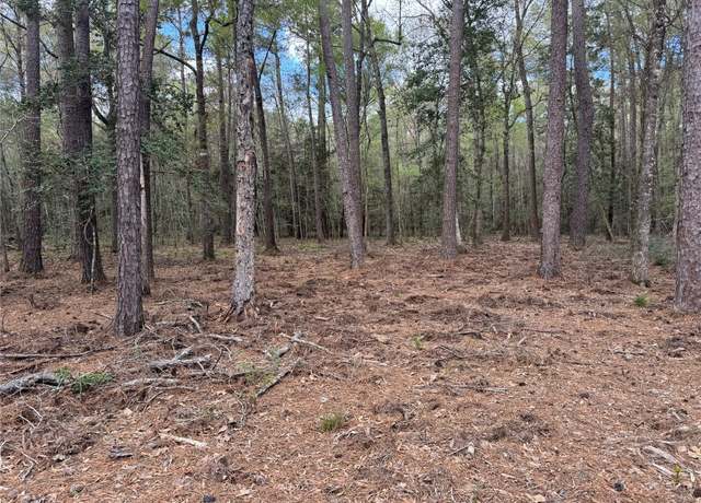 Property at 0 County Road 2317, Dayton, TX 77535