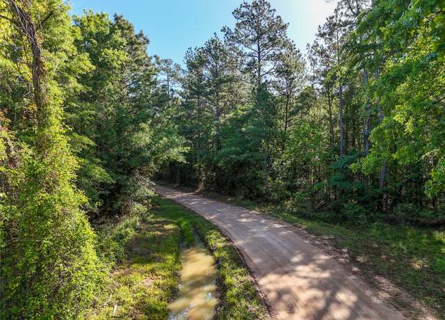 Property at 000 Trail Ride Rd, Coldspring, TX 77331