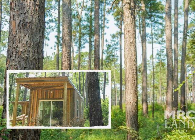 Property at 00 Forest Service Road 511, Grapeland, TX 75844
