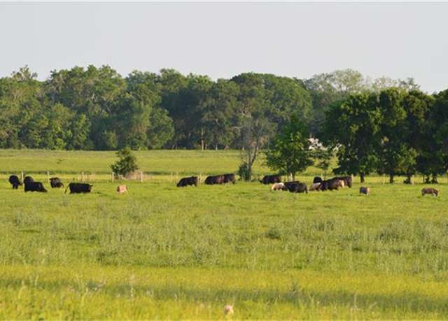 Property at 11568 County Road 419, Navasota, TX 77868