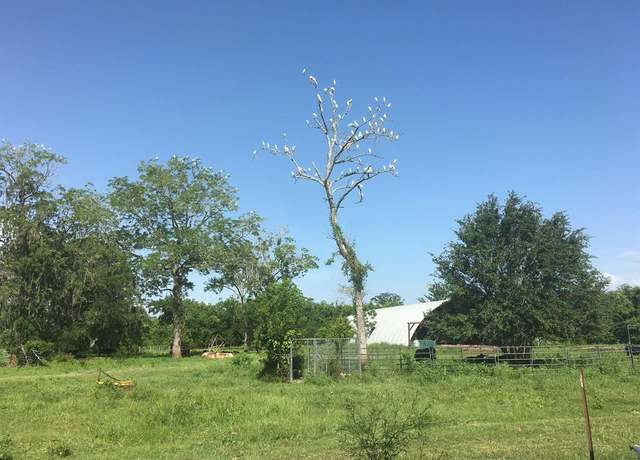 Property at 16411 Majestic Oaks Dr, Rosharon, TX 77583