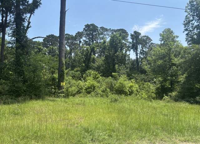 Property at TBD Sam Houston Loop, Point Blank, TX 77364