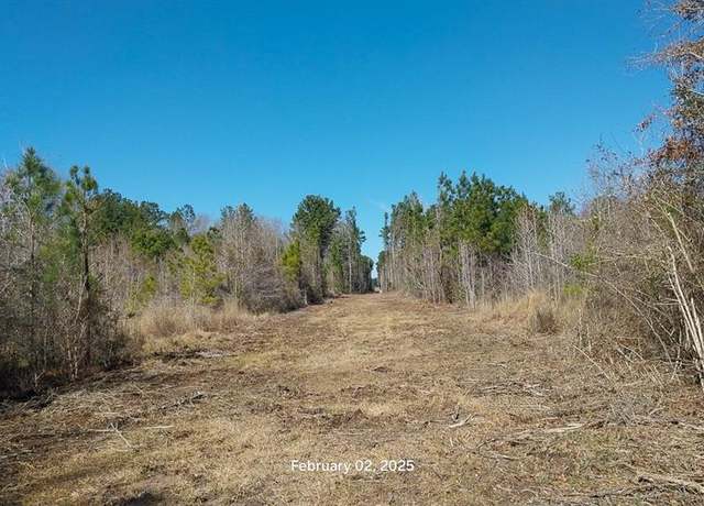 Property at 0 Chambers Rd, Zavalla, TX 75980