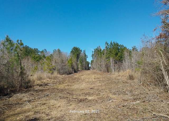 Property at 0 Chambers Rd, Zavalla, TX 75980