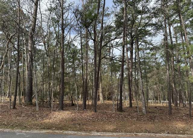 Property at 91 S Fairway Loop, Coldspring, TX 77331