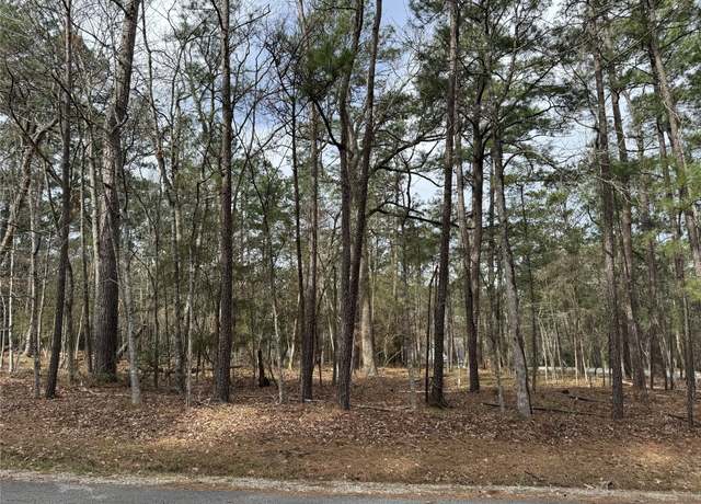 Property at 91 S Fairway Loop, Coldspring, TX 77331