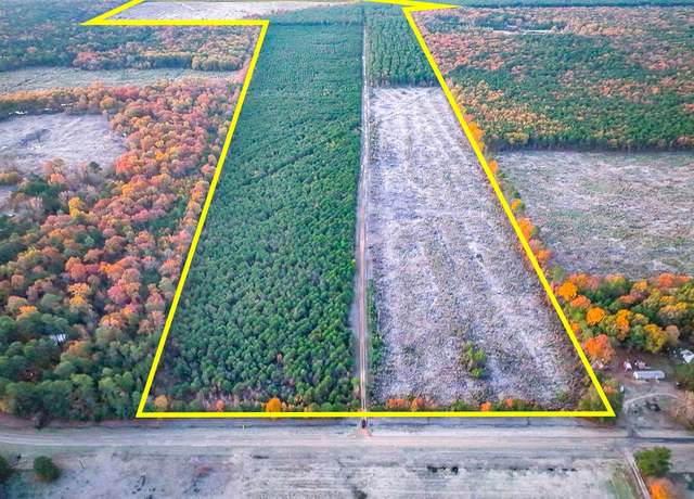 Property at 0 Fm 2120, Bagwell, TX 75426