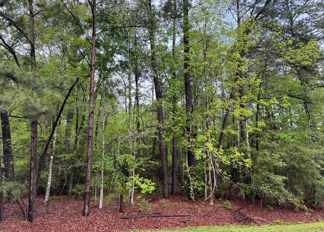 Property at 10 Wentworth Ln, Coldspring, TX 77331