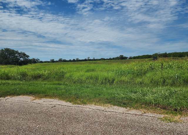 Property at 16410 Majestic Oaks Dr, Rosharon, TX 77583