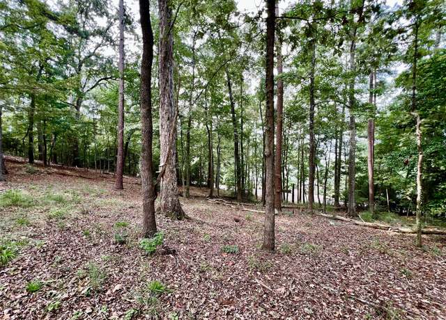 Property at 00 County Road 4921, Etoile, TX 75944