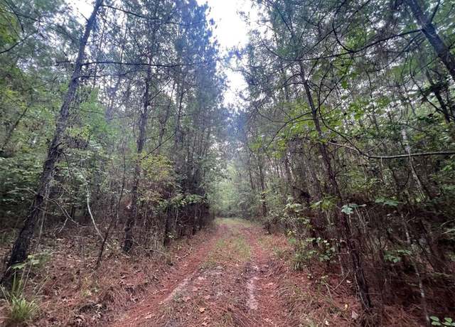 Property at 0 Sellers Rd, Coldspring, TX 77331