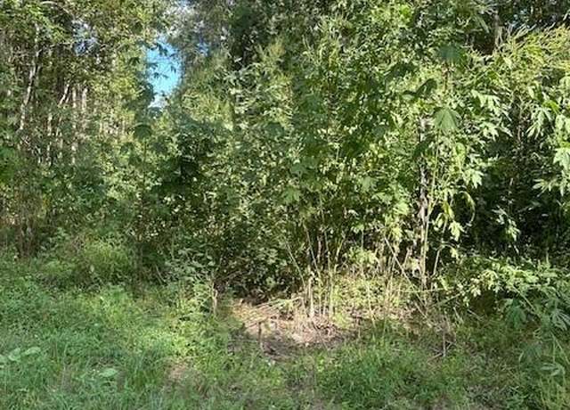 Property at TBD CR 2166 Teresa Ln Ln, Cleveland, TX 77327