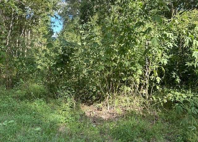 Property at TBD Cr 2166 Teresa Ln Ln, Cleveland, TX 77327