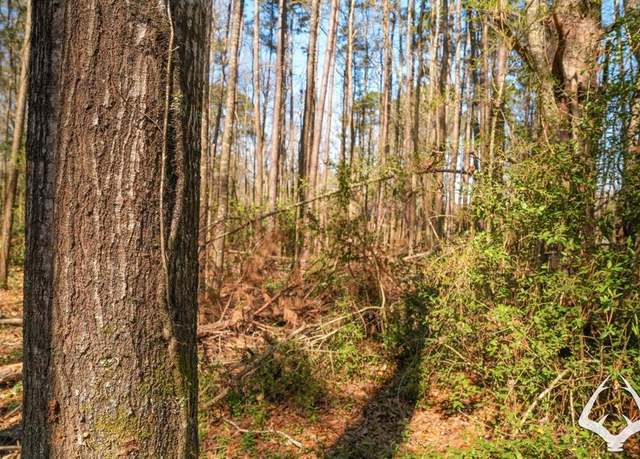 Property at TBD 2 US Hwy 69, Huntington, TX 75949