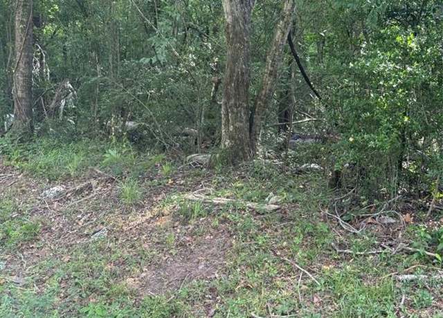 Property at 245 County Road 3707, Splendora, TX 77372
