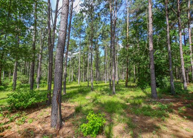 Property at 1950 Buckhorn Creek Dr, Crockett, TX 75904