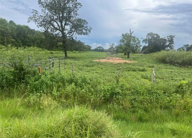 Property at 0 County Road 244, Brazoria, TX 77422