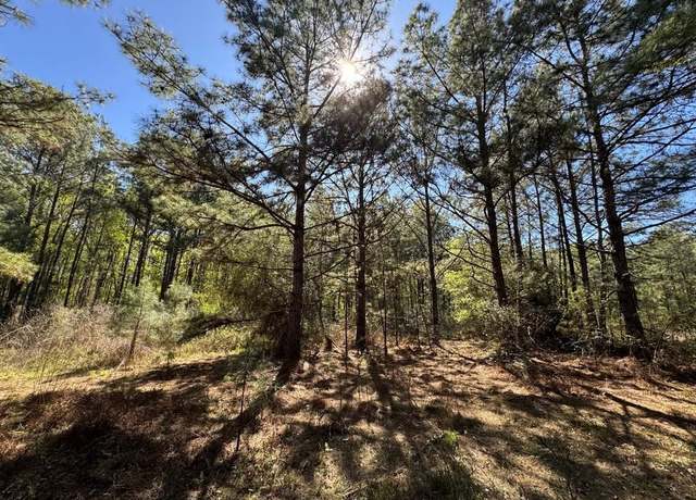 Property at 341 County Road 3891 S, Cleveland, TX 77328