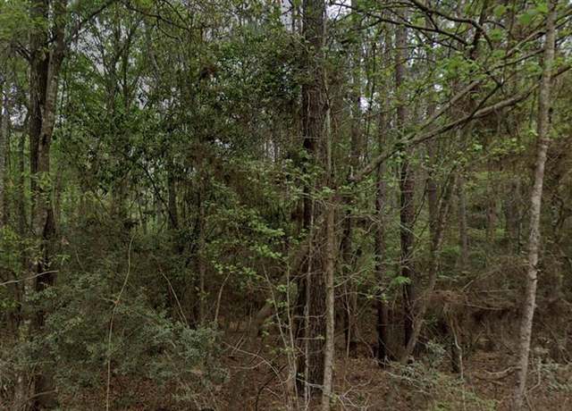 Property at 000 Travis Hill Cir, Coldspring, TX 77331