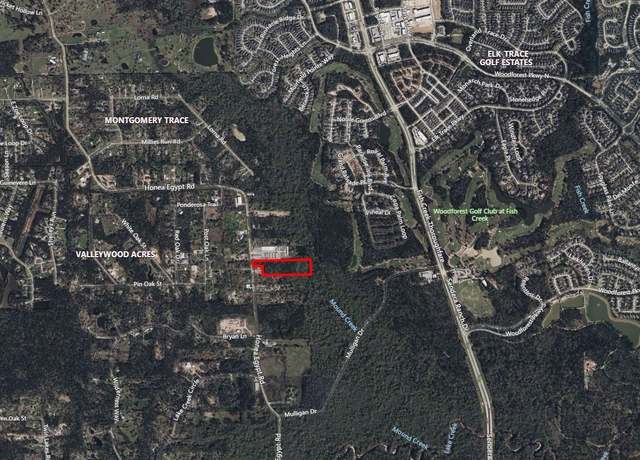 Property at 3620 Honea Egypt Rd, Montgomery, TX 77316