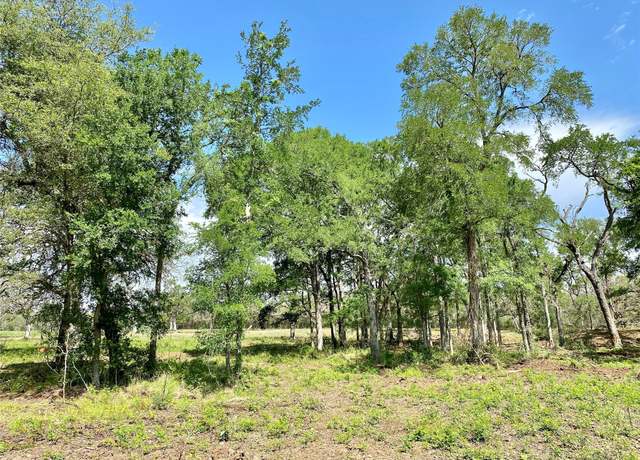 Property at 1365 Fm 2104, Smithville, TX 78957