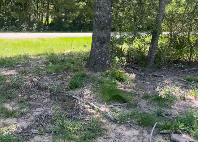 Property at 56 Firewood Rd, Huntsville, TX 77340