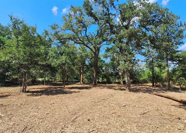 Property at 1014 Beaver Lake Dr, Caldwell, TX 77836