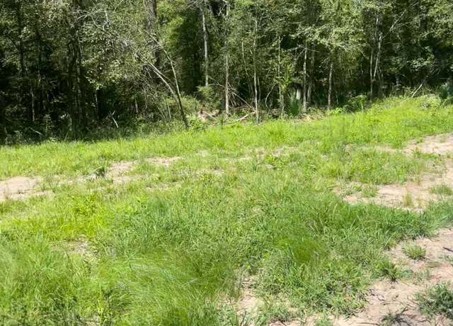 Property at 58 Firewood Rd, Huntsville, TX 77340