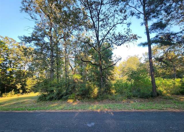 Property at 0 Hackberry Dr, Onalaska, TX 77360