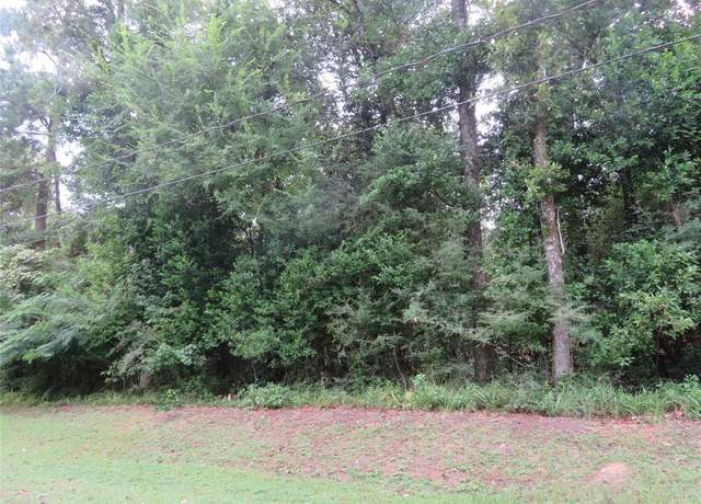 Property at LOT 9 Hornbeam Dr, Village Mills, TX 77663