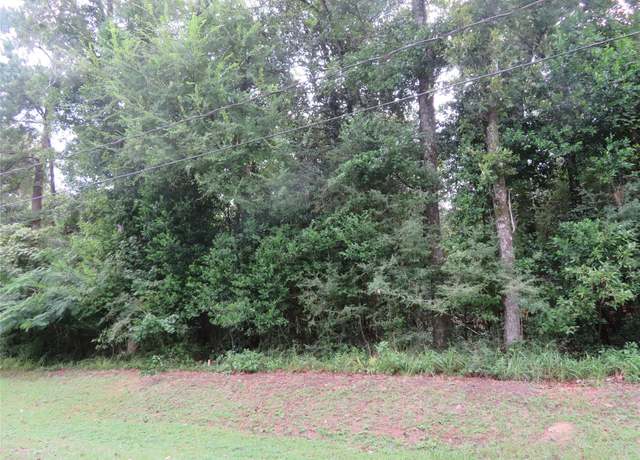 Property at LOT 9 Hornbeam Dr, Village Mills, TX 77663