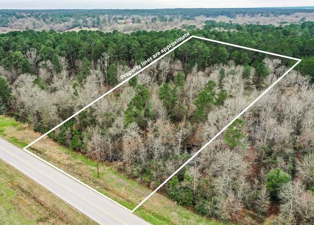 Property at 000 Dipping Vat Rd, New Waverly, TX 77358