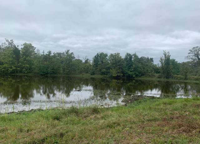 Property at 25572 Johnson Rd, Montgomery, TX 77356