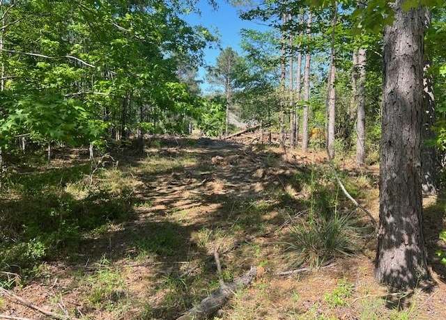 Property at LOT 65 & 73 Eastgate Park, West Livingston, TX 77351