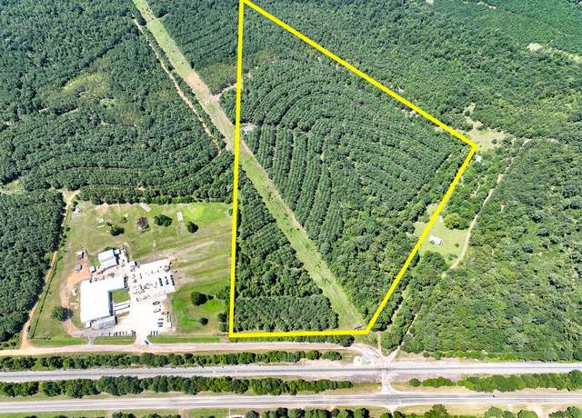 Property at 05 Highway 49, Avinger, TX 75630