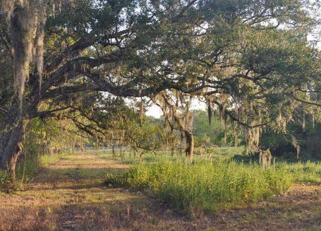 Property at 4261 County Road 506, Brazoria, TX 77422, 1 bath