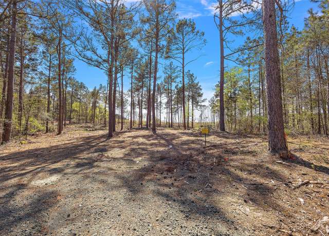 Property at 700 Piney Creek Estates Rd, Timpson, TX 75975