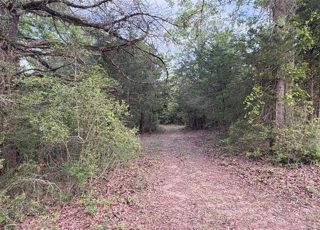 Property at TBD County Road 2761, Buffalo, TX 75831