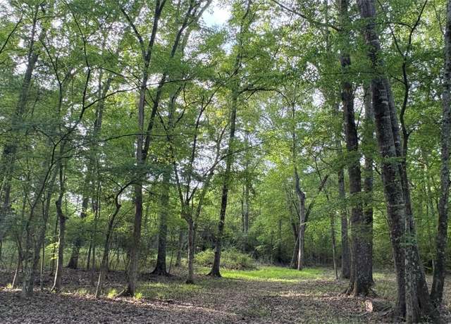 Property at TBD County Road 2761, Buffalo, TX 75831