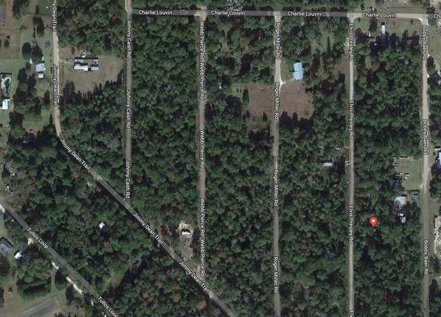 Property at 265 Elvis Presley Rd, Livingston, TX 77351