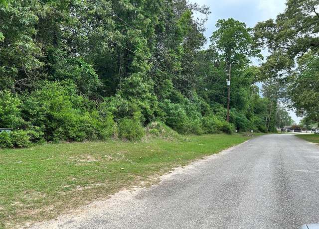 Property at LOT 10 Hornbeam Dr, Village Mills, TX 77663