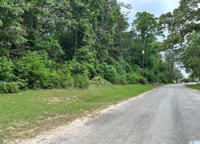 Property at LOT 10 Hornbeam Dr, Village Mills, TX 77663