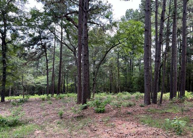 Property at 0015 County Road 302, Plantersville, TX 77363