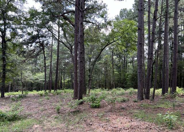Property at 0015 County Road 302, Plantersville, TX 77363